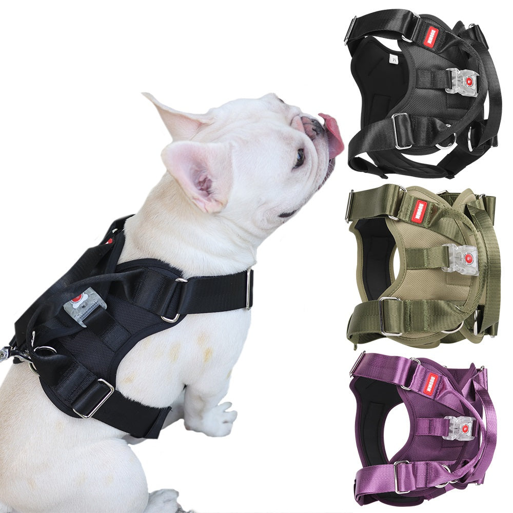 Best led dog harness best sale