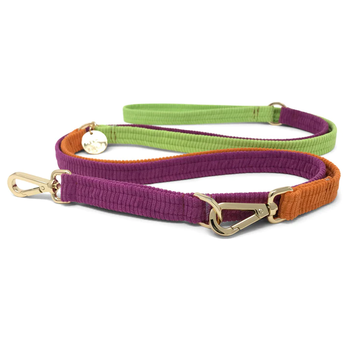 Double leash sale petco