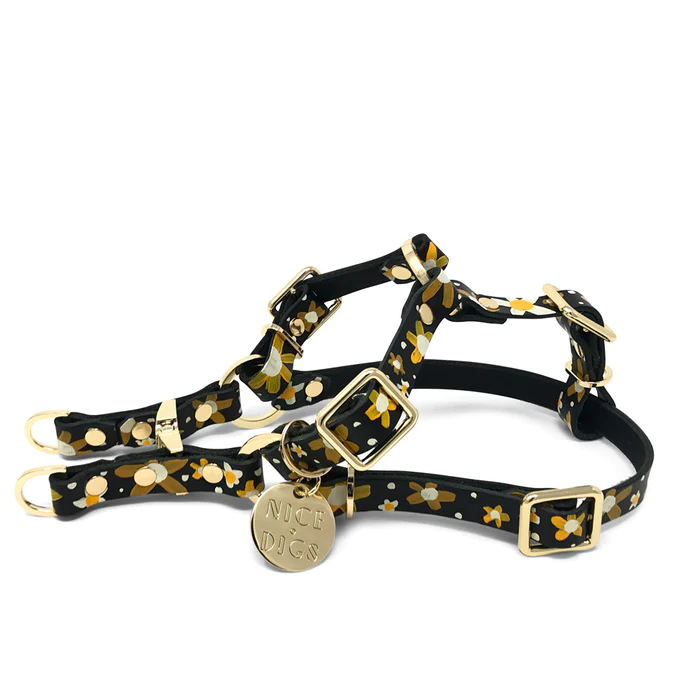 Gold hotsell dog harness