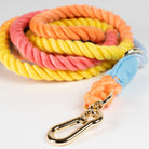 Dog Rope Collar & Leash Set PetsRus
