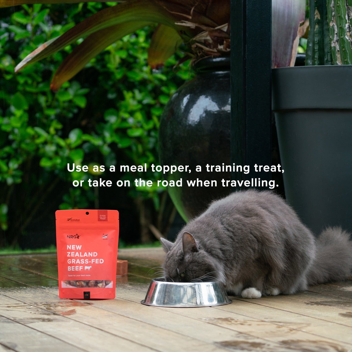 Freeze Dried Meal Tasters - Cat PetsRus