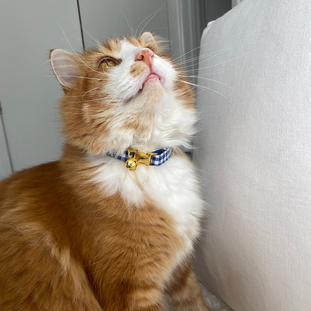 Plaid Cat Collar PetsRus