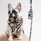 Pup Camo Harness Quad Set PetsRus