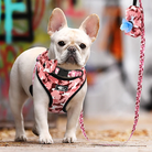 Pup Camo Harness Quad Set PetsRus