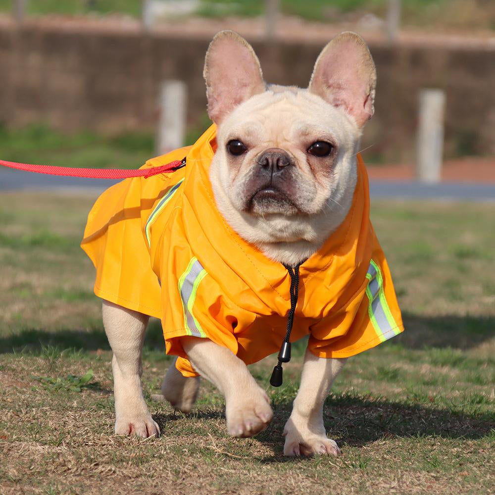 Rainy Rain Coat