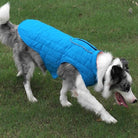 Reversible Padded Puffer Jacket PetsRus